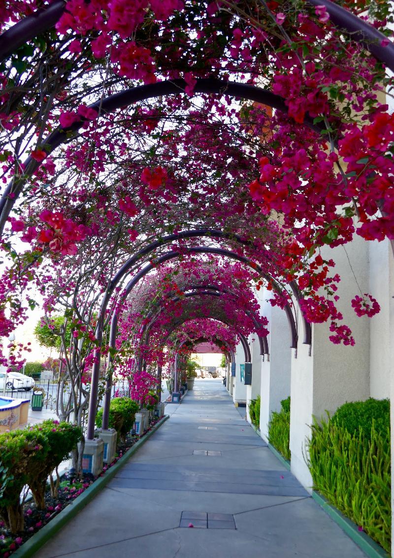 Golden Sails Hotel Long Beach Luaran gambar